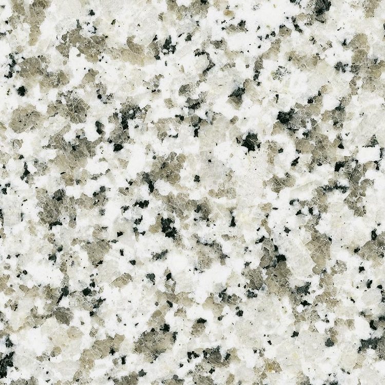 Bianco Sardo ist ein heller Granit aus Sardinien in Italien mit feinkörniger, grau-weißer Struktur.